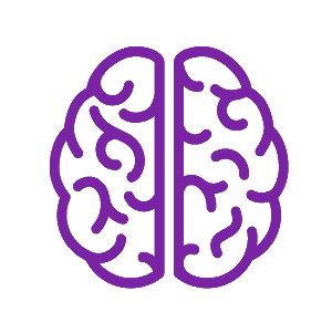 A stylized, purple, line-drawn representation of a human brain. The brain is divided into two hemispheres, with each hemisphere featuring abstract swirls and curves highlighting the brain's structure. The background is transparent.