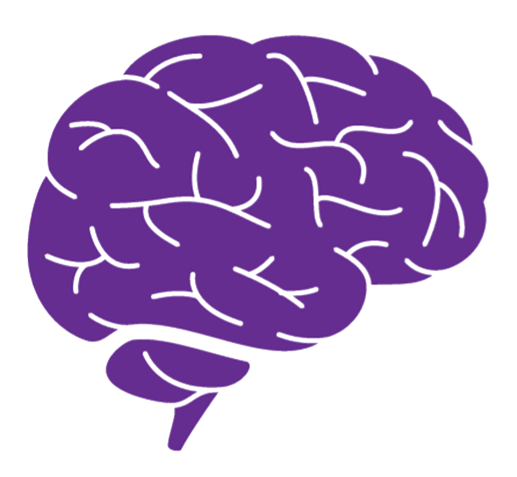 Stylized purple illustration of a human brain.
